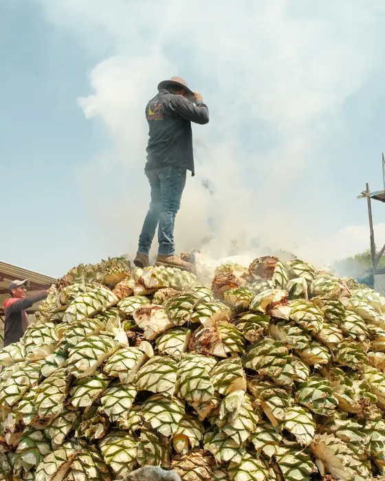 Un hombre parado sobre un montículo de piñas de agave partidas, entre el humo blanco que las envuelve.